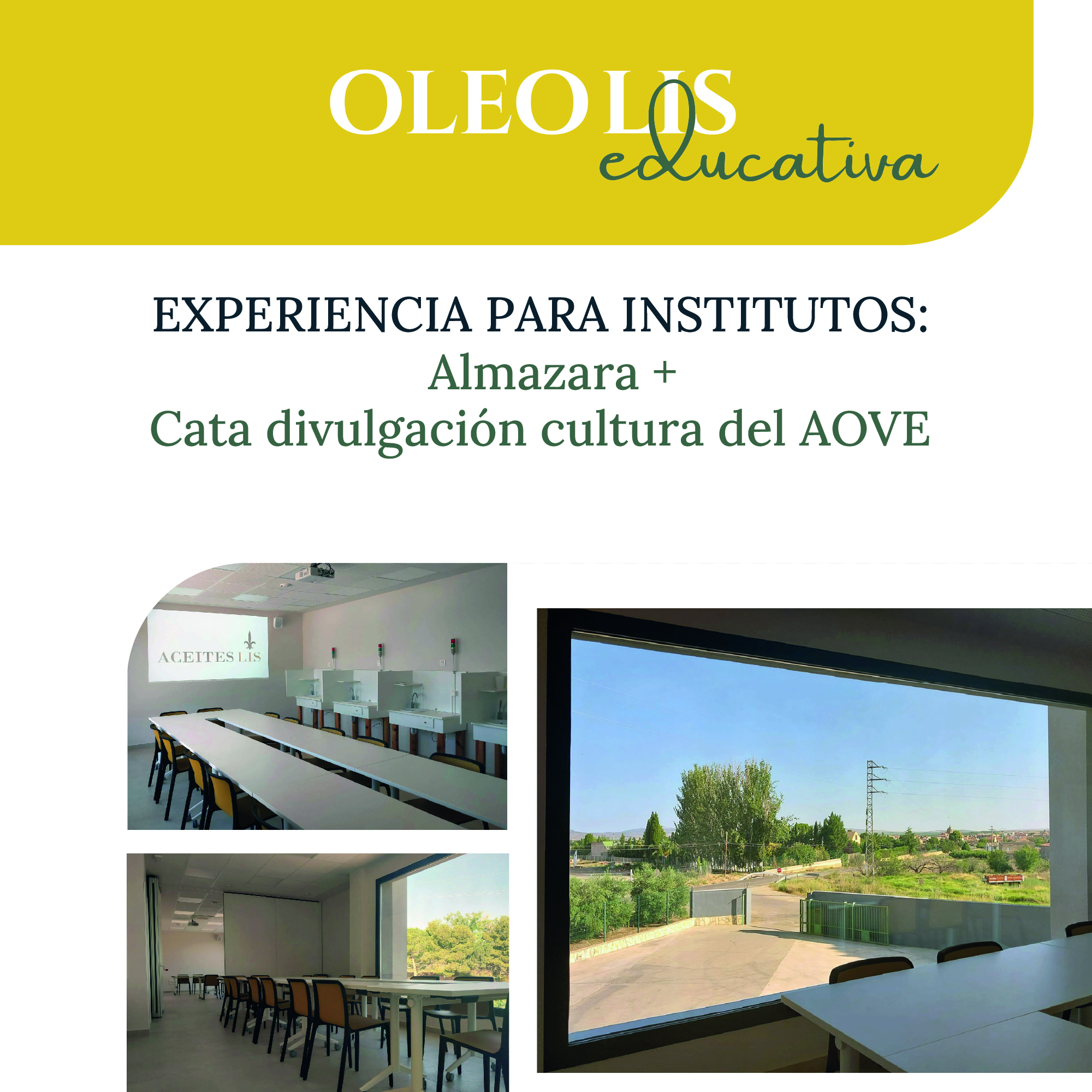 Experiencia educativa de oleoturismo para instituros.