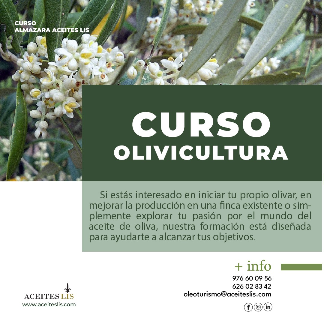 curso_olivicultura_aceiteslis