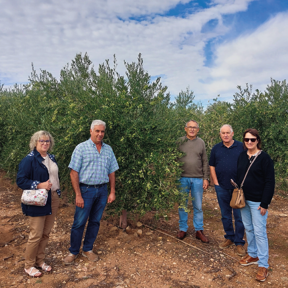 Experiencia completa de Oleoturismo