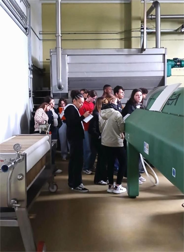 Visita a la almazara de Aceites Lis con alumnos del Lycée Silvia Monfort de Francia.